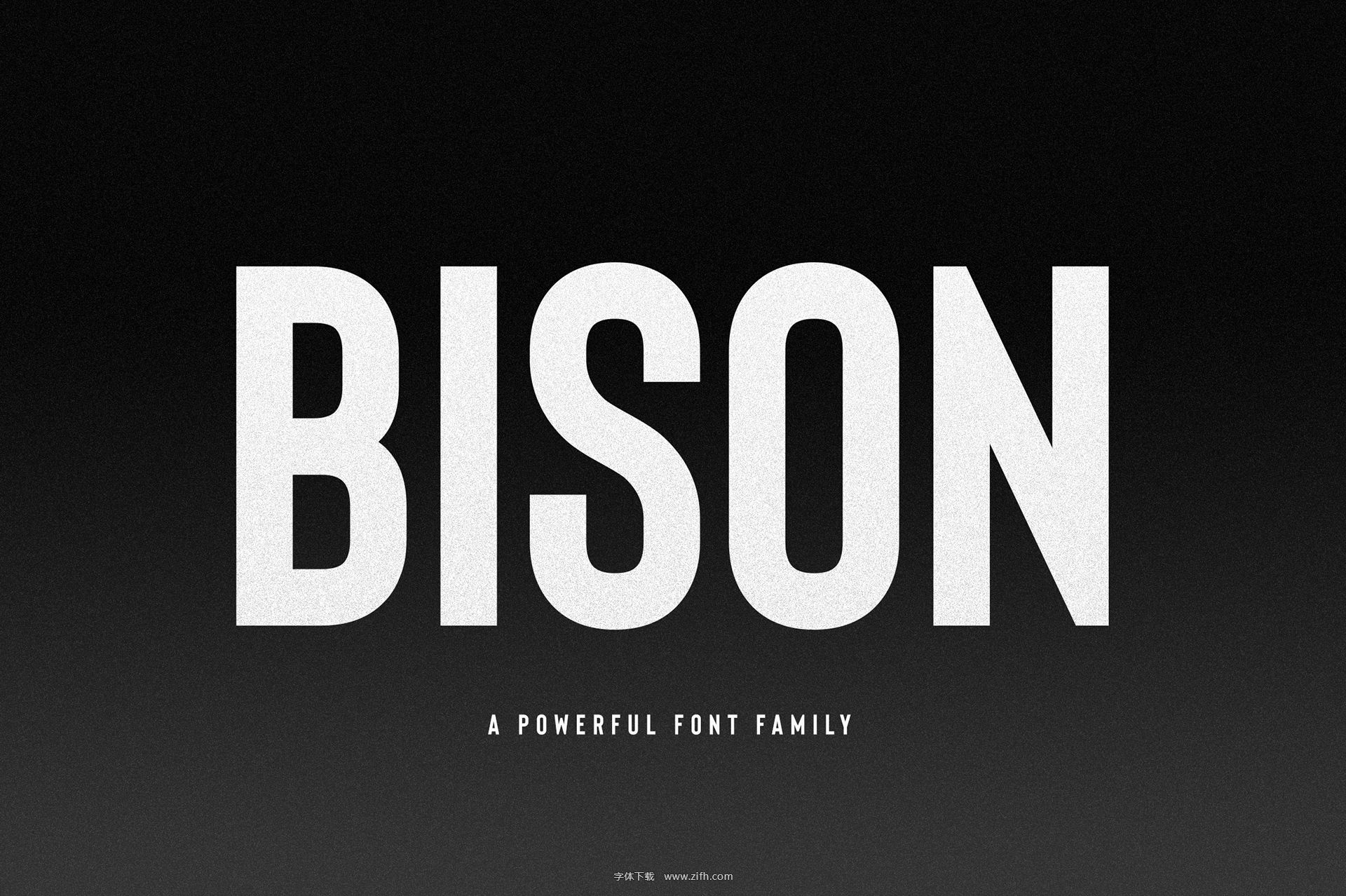 Bison Font Family