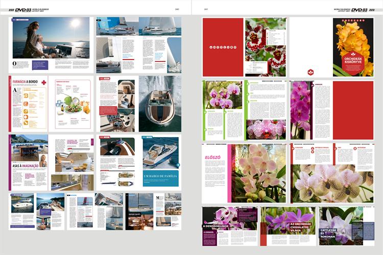 世界版式 300 强 5 平面设计素材排版画册模板矢量 PSD 分层版式源文件